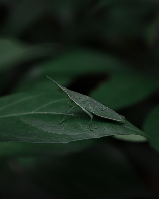 A collection of black garbage bags, some tied and others partially open, are piled in front of a red metal door set into a beige, textured wall. The bags appear to contain waste and miscellaneous discarded items. Among the debris, there are flattened cardboard boxes and a piece of white foam or packaging material. The door features multiple layers of graffiti in white and pink spray paint, along with two signs: one reading 'No Money Keep Out' and another blue and white sign stating 'Keep clear.' The scene is outdoors, possibly on a street or alleyway, with natural daylight illuminating the area. The surrounding wall has a rough, stucco finish, and the door frame is simple and unadorned. This scene illustrates an example of unmanaged rubbish accumulation which private waste removal services, such as those provided by Rubbish Removal Bow, can collect through on-site clearance or alternative waste handling methods, ensuring proper disposal especially in contexts where regular local authority rubbish collection may not be available or sufficient.